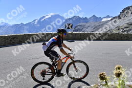 Photo #2350330 | 18-07-2022 10:25 | Passo Dello Stelvio - Prato side BICYCLES
