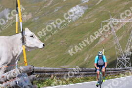 Photo #2484460 | 02-08-2022 11:48 | Passo Dello Stelvio - Peak BICYCLES