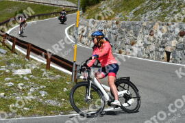 Photo #4054623 | 24-08-2023 12:56 | Passo Dello Stelvio - Waterfall curve BICYCLES