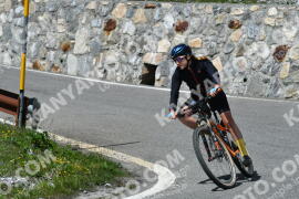 Photo #2160977 | 19-06-2022 15:10 | Passo Dello Stelvio - Waterfall curve BICYCLES