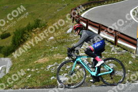 Photo #4116726 | 01-09-2023 14:02 | Passo Dello Stelvio - Waterfall curve BICYCLES