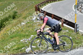 Photo #2400205 | 25-07-2022 12:23 | Passo Dello Stelvio - Waterfall curve BICYCLES