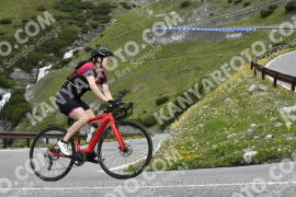 Photo #3383634 | 08-07-2023 09:50 | Passo Dello Stelvio - Waterfall curve BICYCLES