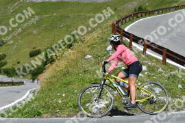 Photo #2606778 | 12-08-2022 12:36 | Passo Dello Stelvio - Waterfall curve BICYCLES