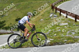 Photo #2442881 | 30-07-2022 12:49 | Passo Dello Stelvio - Waterfall curve BICYCLES
