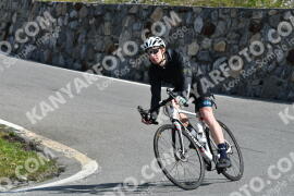 Photo #2381367 | 24-07-2022 10:23 | Passo Dello Stelvio - Waterfall curve BICYCLES
