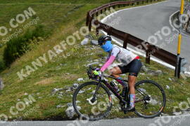Photo #3925186 | 17-08-2023 09:59 | Passo Dello Stelvio - Waterfall curve BICYCLES