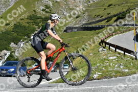 Photo #2430842 | 29-07-2022 10:28 | Passo Dello Stelvio - Waterfall curve BICYCLES