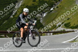 Foto #4090735 | 26-08-2023 13:44 | Passo Dello Stelvio - Waterfall Kehre BICYCLES