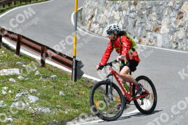 Photo #2384488 | 24-07-2022 14:35 | Passo Dello Stelvio - Waterfall curve BICYCLES