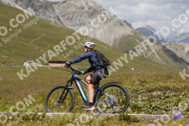 Photo #3626940 | 29-07-2023 13:20 | Passo Dello Stelvio - Peak BICYCLES