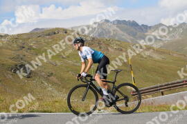 Photo #3894588 | 15-08-2023 11:11 | Passo Dello Stelvio - Peak BICYCLES