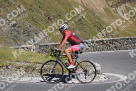 Photo #2719245 | 23-08-2022 13:27 | Passo Dello Stelvio - Prato side BICYCLES