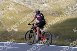 Photo #4000814 | 21-08-2023 10:30 | Passo Dello Stelvio - Peak BICYCLES