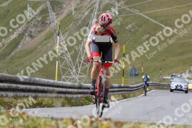 Photo #3732178 | 06-08-2023 14:17 | Passo Dello Stelvio - Peak BICYCLES