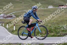 Photo #3197939 | 23-06-2023 10:52 | Passo Dello Stelvio - Peak BICYCLES